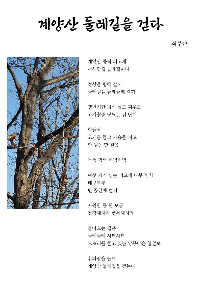 최주순_-_계양산_둘레길을_걷다.png 이미지